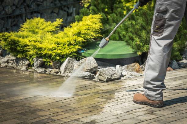 Best Window and Screen Pressure Cleaning in Wilmington Manor, DE